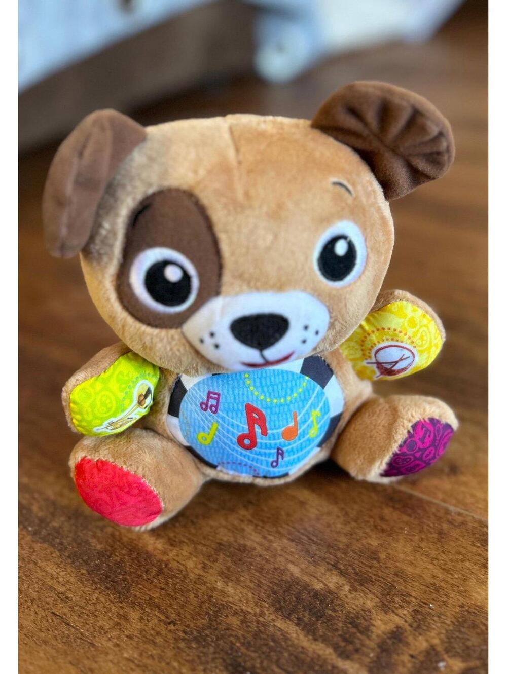 Baby Einstein Press N Play Pals Musical Puppy Dog Plush Toy WORKS
